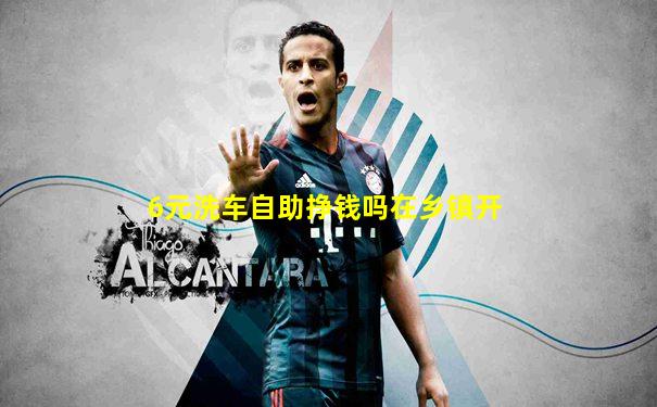 6元洗车自助挣钱吗在乡镇开