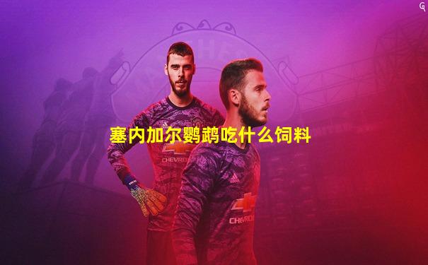 塞内加尔鹦鹉吃什么饲料
