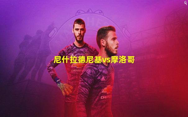 尼什拉德尼基vs摩洛哥