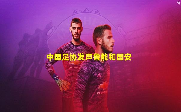 中国足协发声鲁能和国安